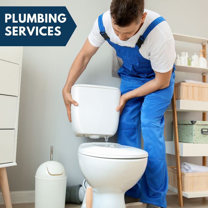 Plumbing Company in La Motte, IA